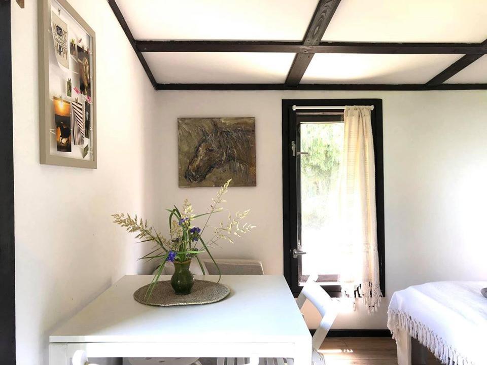 Apartamenty Lajkonik Домбрувно Екстер'єр фото