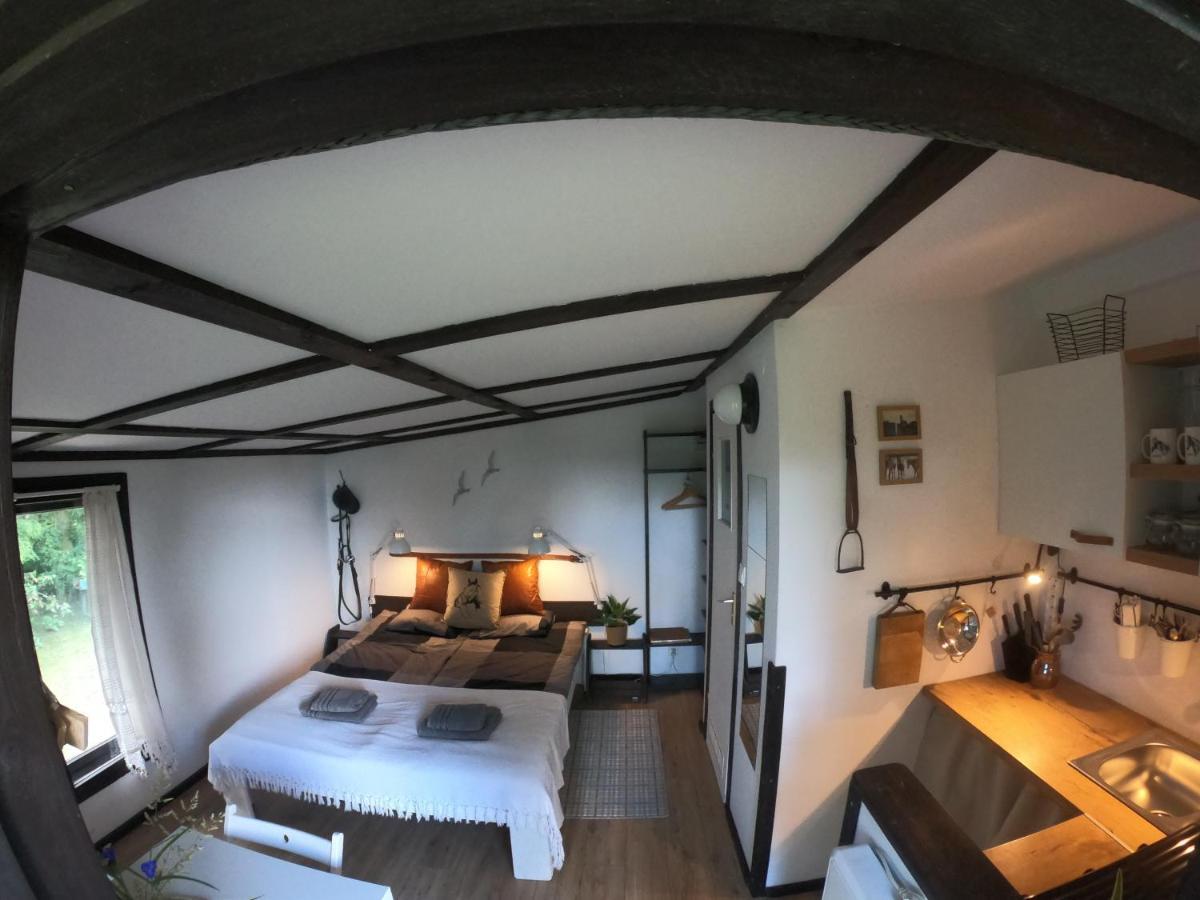 Apartamenty Lajkonik Домбрувно Екстер'єр фото
